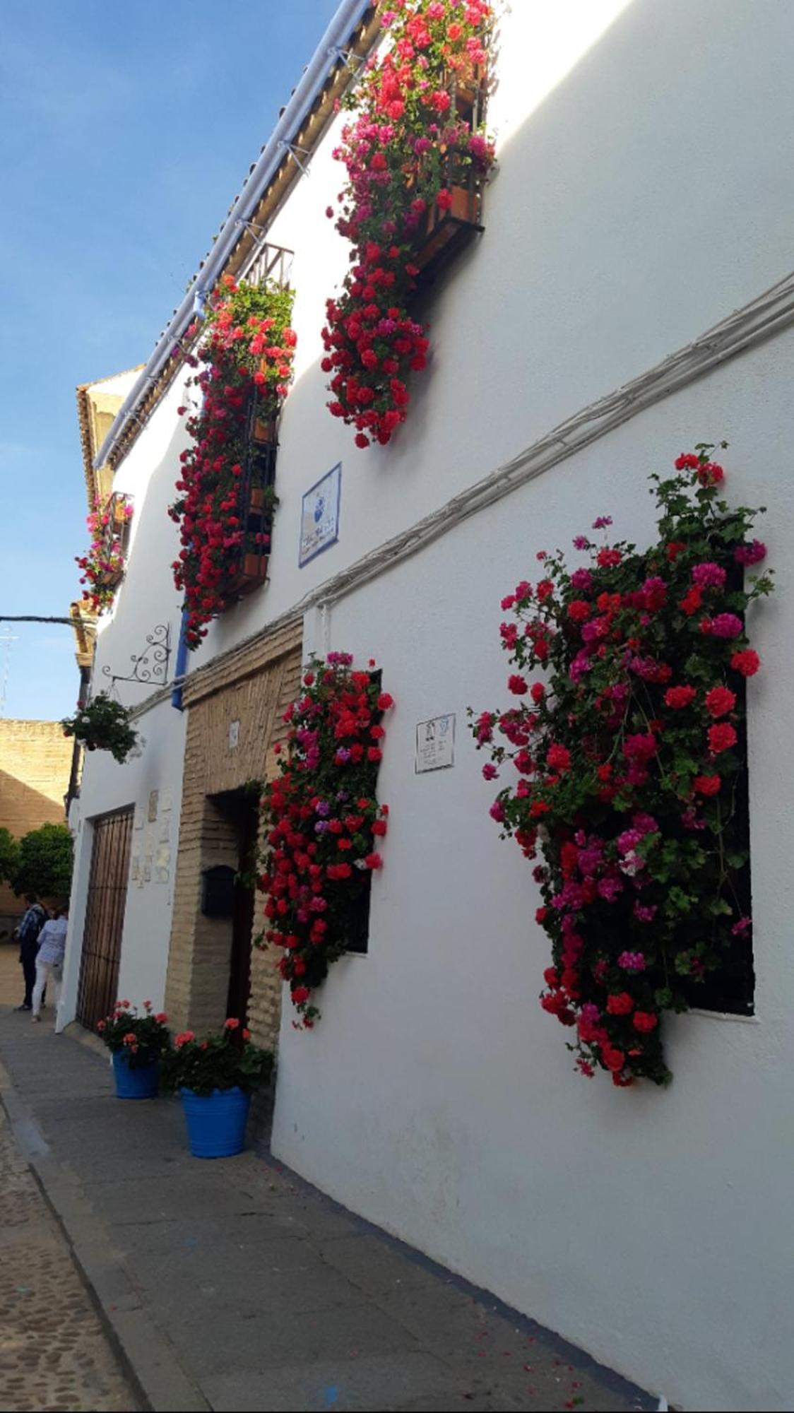Apartmán Apartamento En Barrio San Basilio Córdoba Exteriér fotografie